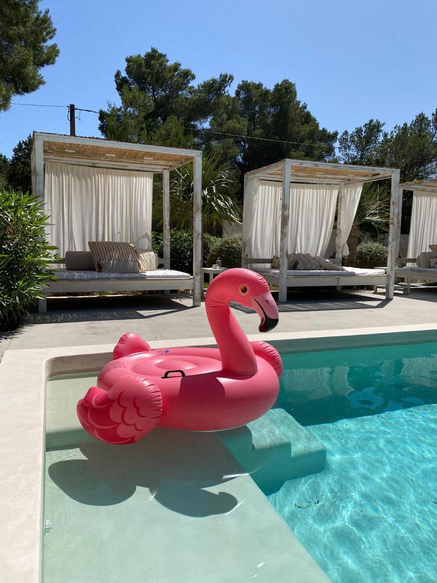 Boutique Hotel Casa Caracol - Apartments In Strandnaehe, Salzwasserpool, Fotovoltaik, Adults Only San José المظهر الخارجي الصورة
